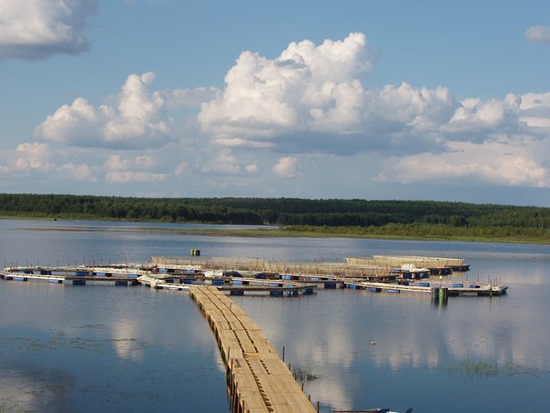 Нювчимский пруд.