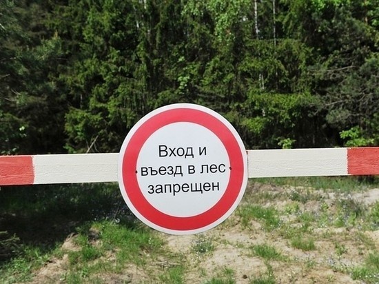 Ради сохранности лесов: в Республике Коми ограничено пребывание граждан в лесах. Ради сохранности лесов: в Республике Коми ограничено пребывание граждан в лесах.