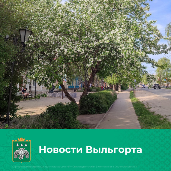 Новости Выльгорта: уличное освещение, ремонт дорог, обустройство спортивной площадки и новая смена отряда руководителя. Новости Выльгорта: уличное освещение, ремонт дорог, обустройство спортивной площадки и новая смена отряда руководителя.