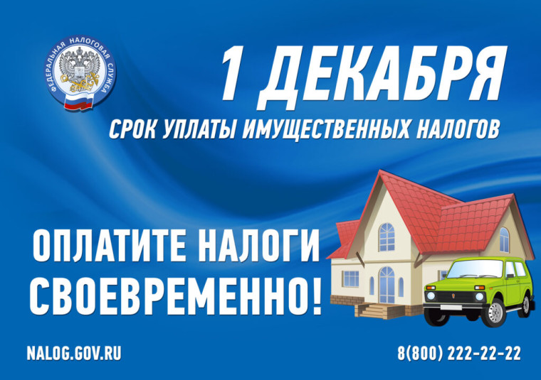 Уплатите налоги не позднее 1 декабря 2023 года. Уплатите налоги не позднее 1 декабря 2023 года.
