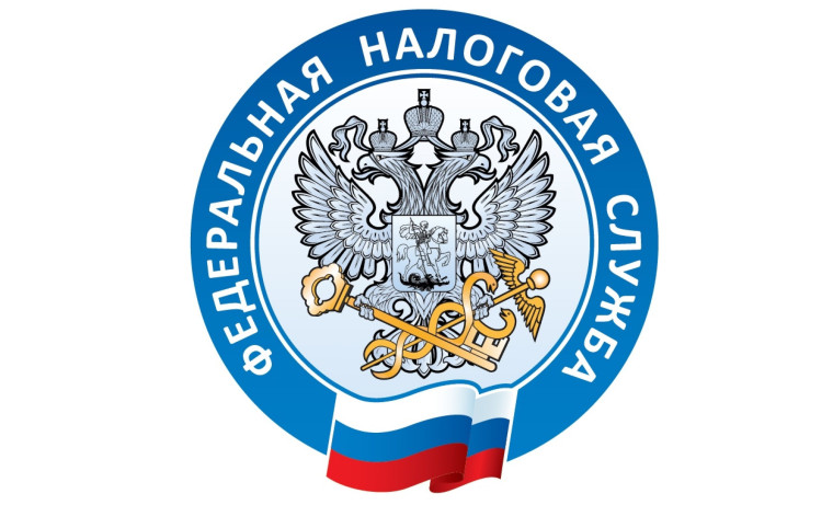 До 31 декабря необходимо успеть вернуть налог за 2020 год. До 31 декабря необходимо успеть вернуть налог за 2020 год.