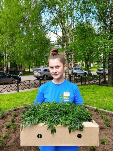 В Сыктывдине продолжаются работы по озеленению. В Сыктывдине продолжаются работы по озеленению.