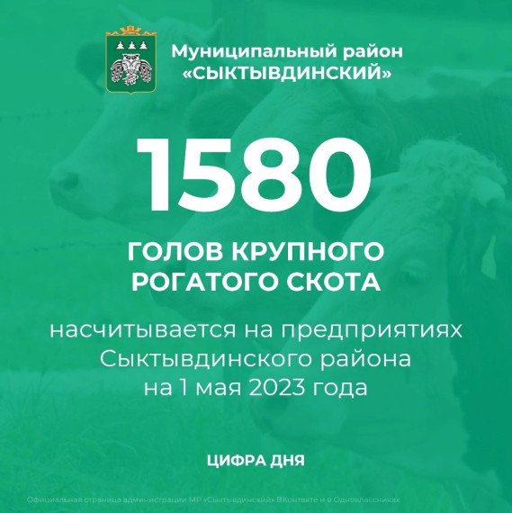 Цифра дня!. Цифра дня!.