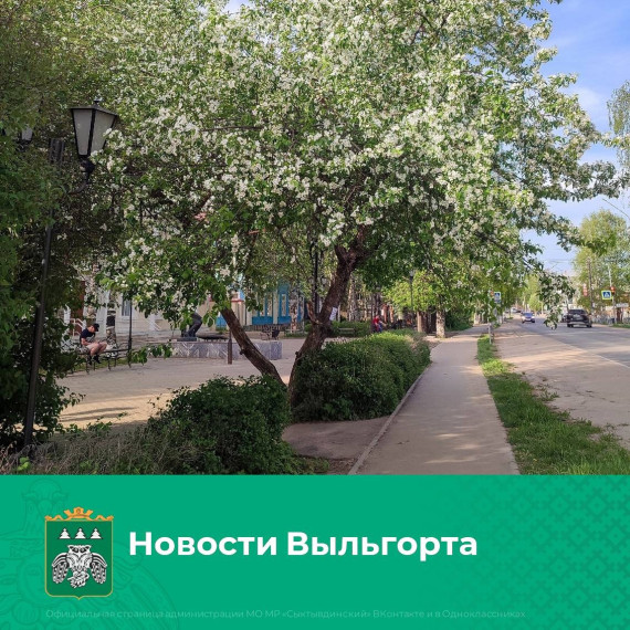 Новости Выльгорта: освещение, ремонт дорог, мусор, обустройство детской площадки. Новости Выльгорта: освещение, ремонт дорог, мусор, обустройство детской площадки.