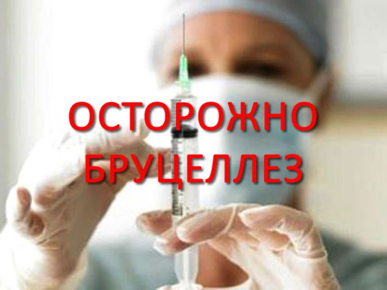 Памятка для населения по профилактике бруцеллёза. Памятка для населения по профилактике бруцеллёза.