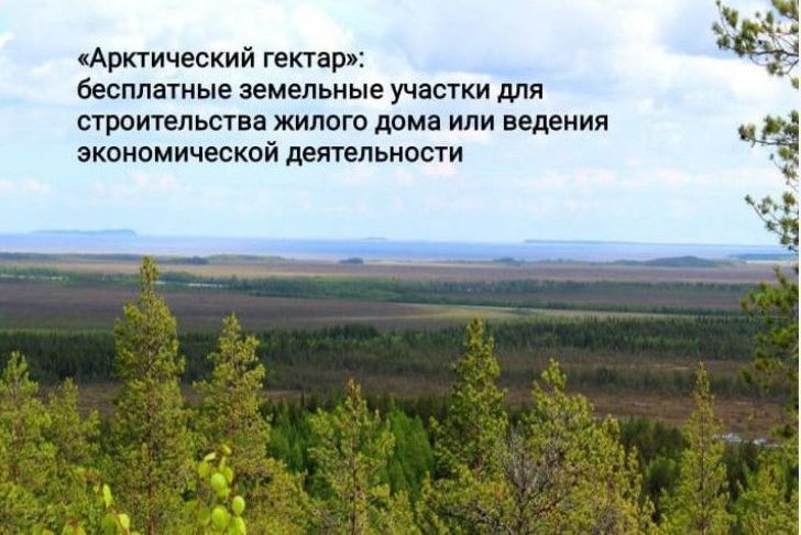 Жителям Коми предлагают пройти онлайн-опрос по программе «Гектар в Арктике». Жителям Коми предлагают пройти онлайн-опрос по программе «Гектар в Арктике».